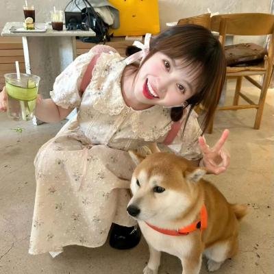 神探艳盗