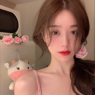 切斯纳特：中央公园的英雄